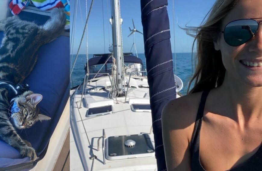 Girl and CAT sail to Bahamas after 36 hours in FLORIDA [ep 3]