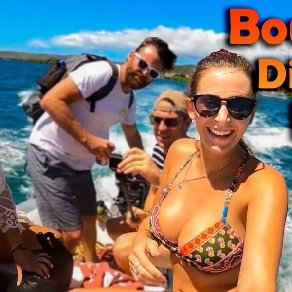 Bouncey Dinghy Ride – S5:E36