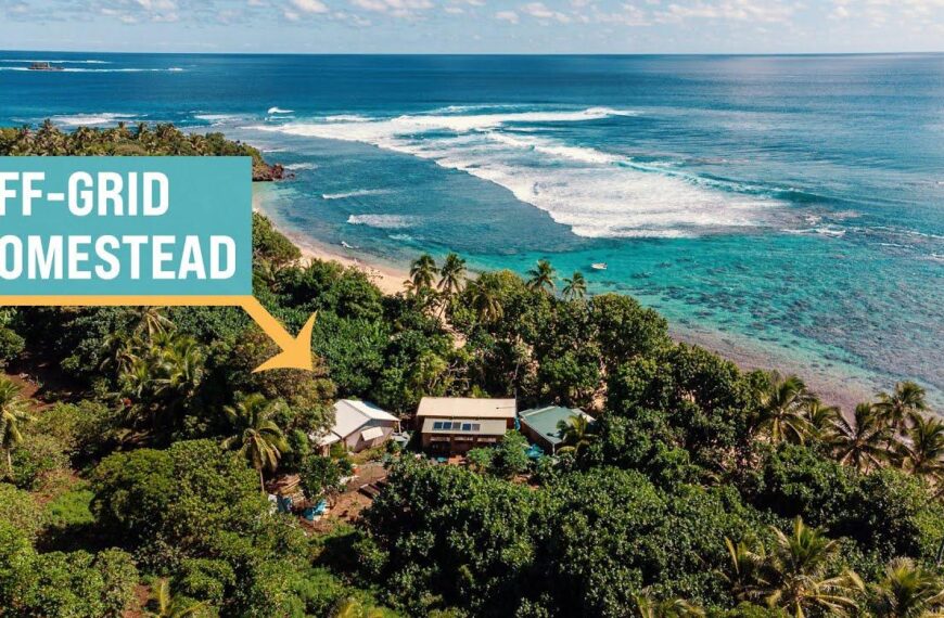 Incredible Self-Reliant Living on a Remote Island (full tour)
